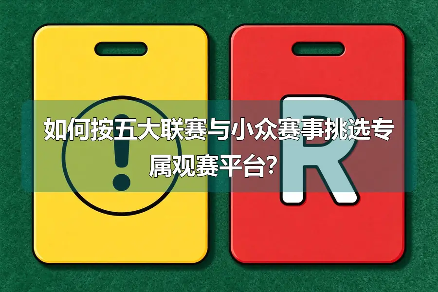 如何按五大联赛与小众赛事挑选专属观赛平台?